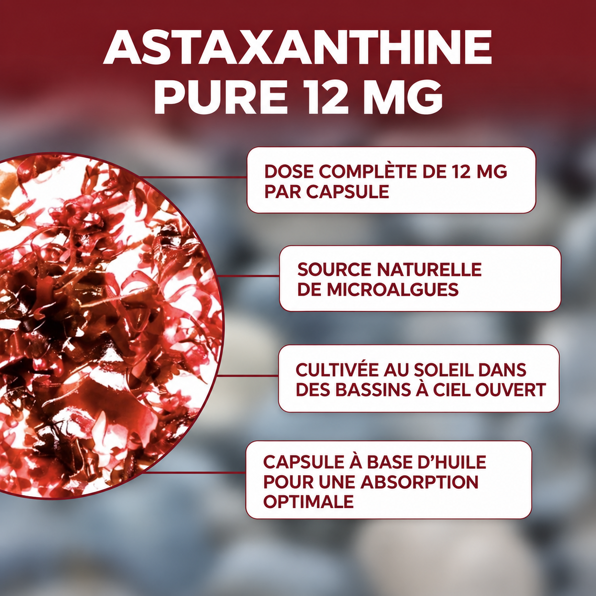 Vitalae Astaxanthine 12mg Softgels - Aide naturellement à lutter contre le stress oxydatif